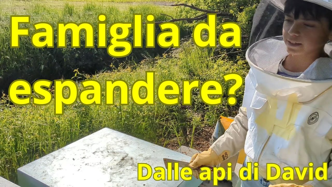 Famiglia da espandere?