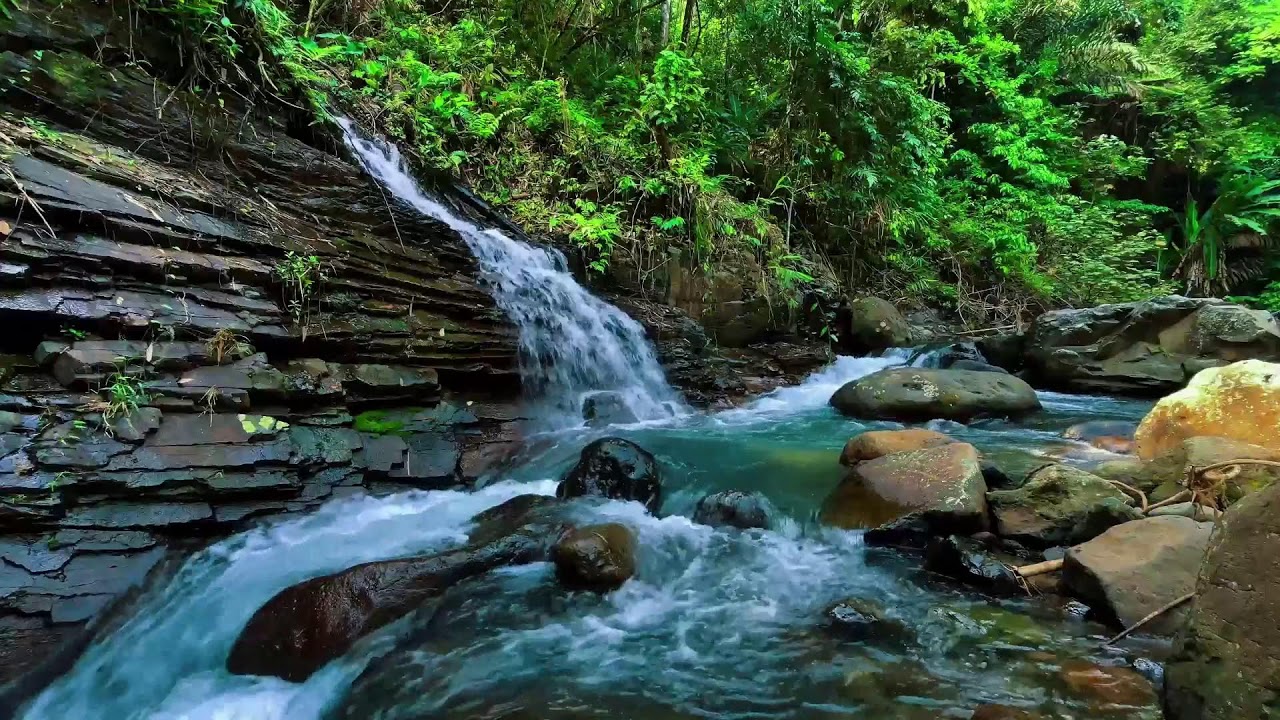 Waterfall Sounds for Sleeping, River Sounds for relaxation, Water Sounds for stress relief #1