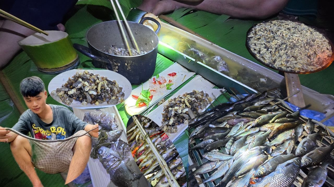2 ngày 2 đêm răng lưới vũng RỒNG  phát hiện DẤU chân khủng. chúng đậm cá suối | nhiệt đới vlog
