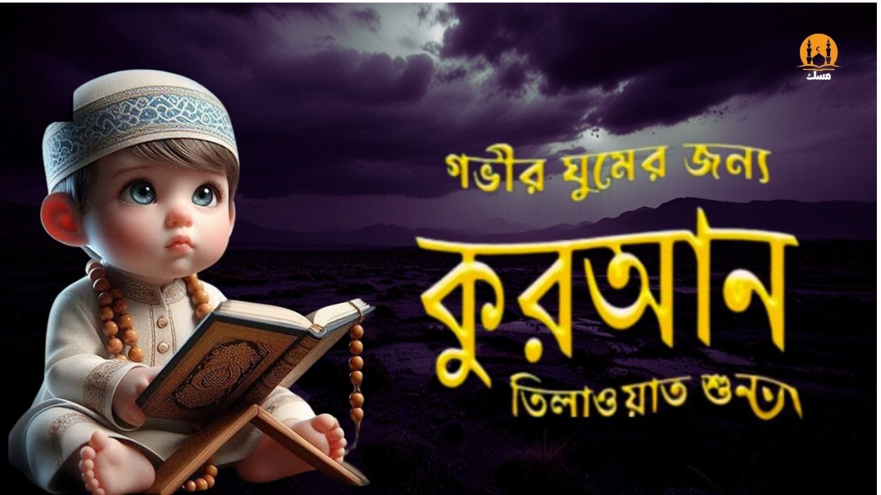 প্রতিদিন ঘুমানোর আগে সেরা কুরআন তিলাওয়াত শুনুন । BEST QURAN TILAWAT | BEFORE DEEP SLEEP