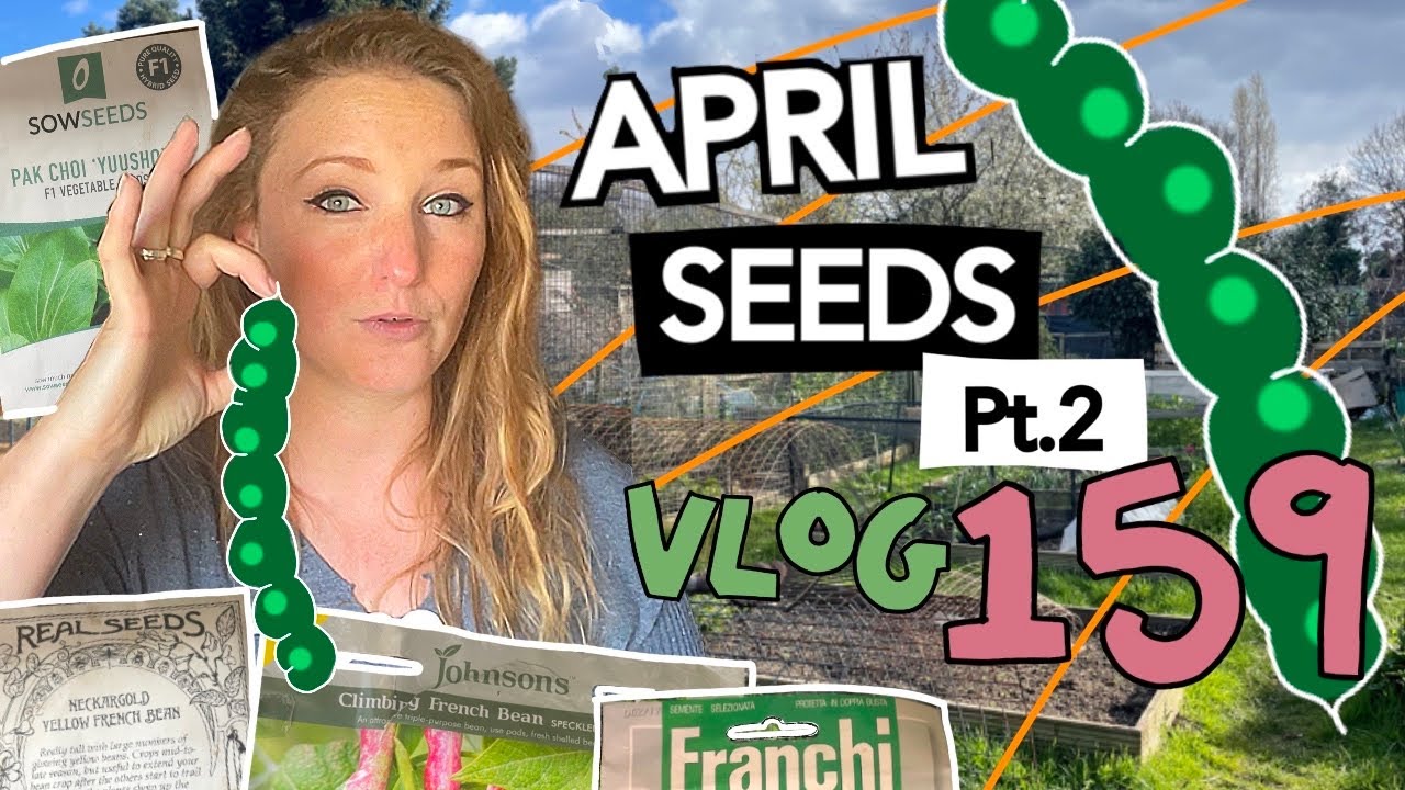 April Seeds Pt2. BEANS! Plus Potting up and Planting out - Ep159 || Plot 37