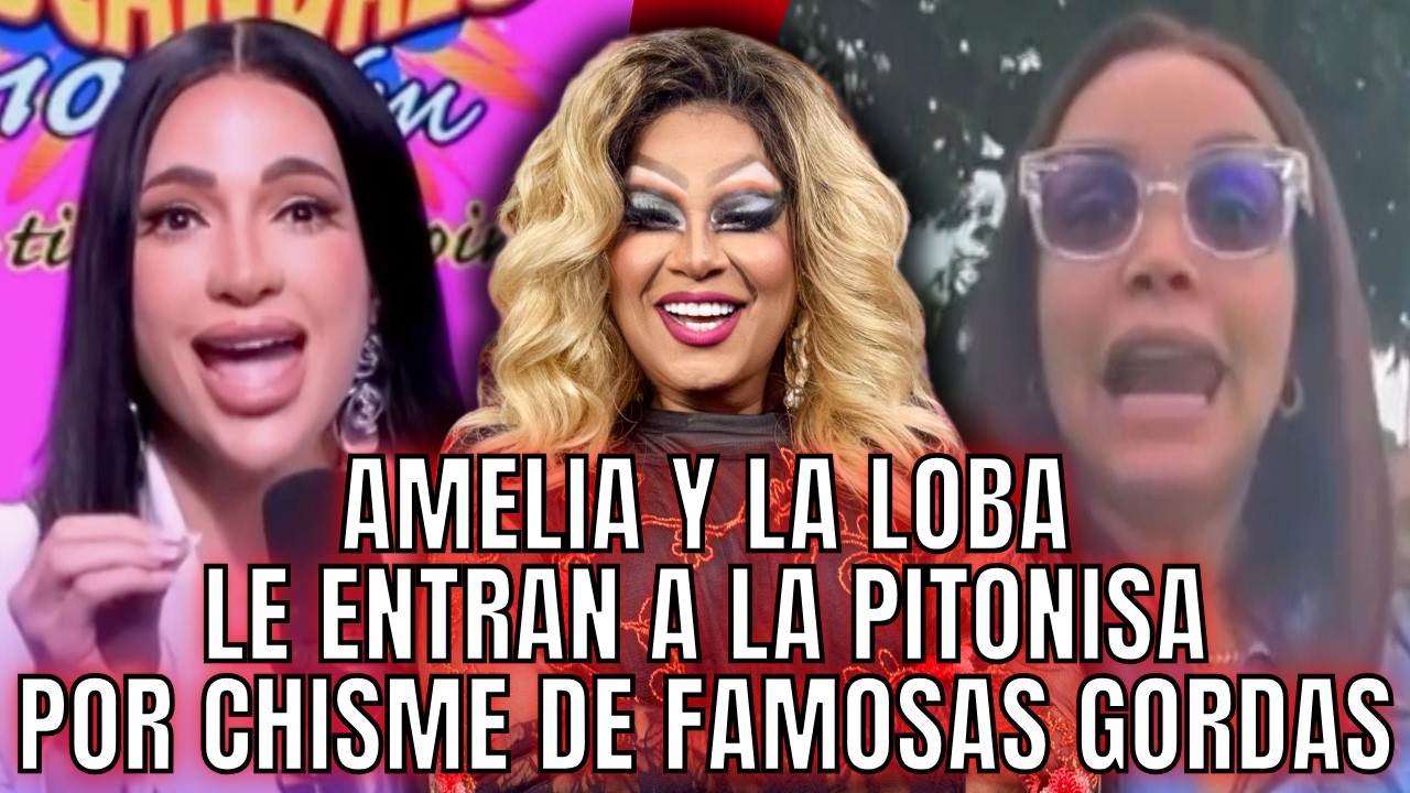 AMELIA Y LA LOBA LE ENTRAN A LA PITONISA Y ESTA LAS PONE EN SU PUESTO POR CHISME DE GORDURA