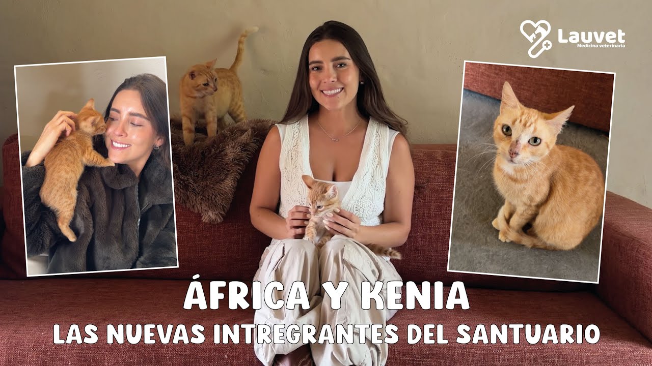 ¡África y Kenia! Las nuevas integrantes del santuario - Lauvet