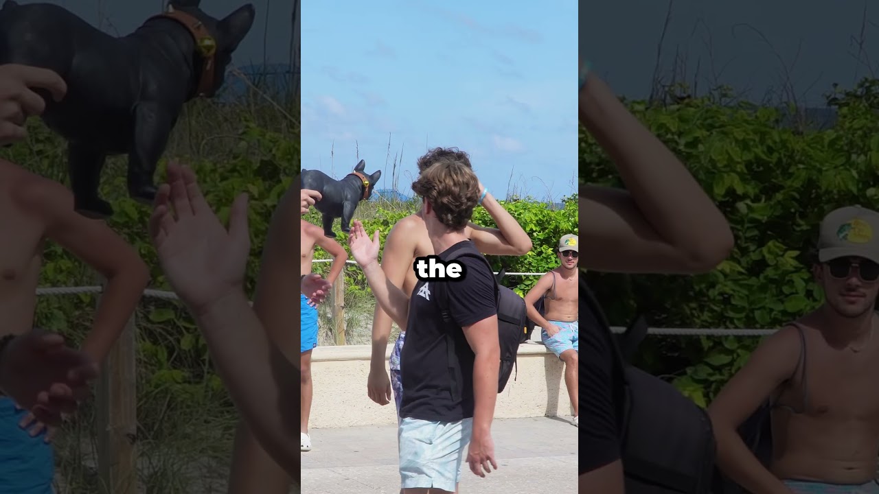 Heat Exhaustion to 'What's Up, Dogs?' Prank Goes Sideways #shorts #funny #fakeprank