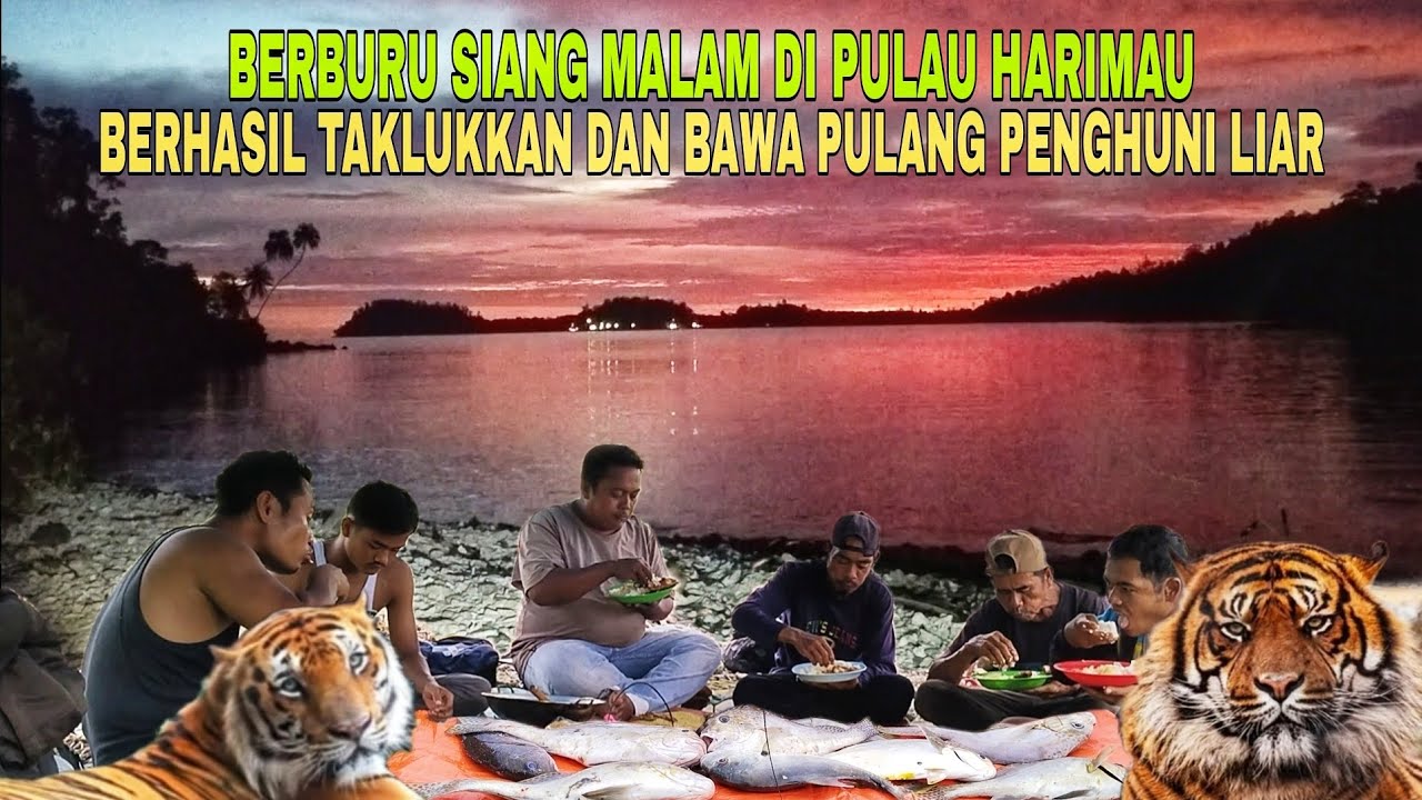 BERBURU SIANG MALAM DI PULAU HARIMAU..!! BERHASIL TAKLUKKAN DAN BAWA PULANG PENGHUNI LIAR