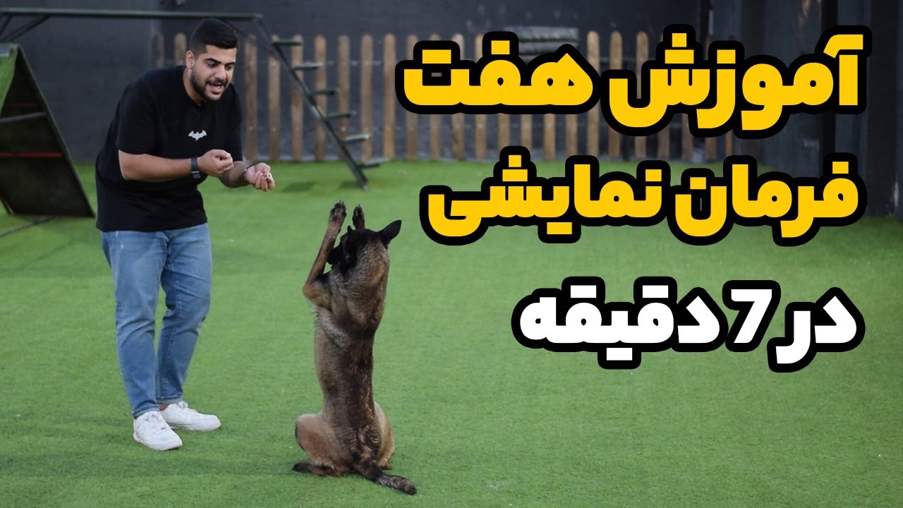 آموزش 7 فرمان نمایشی به سگ در 7 دقیقه