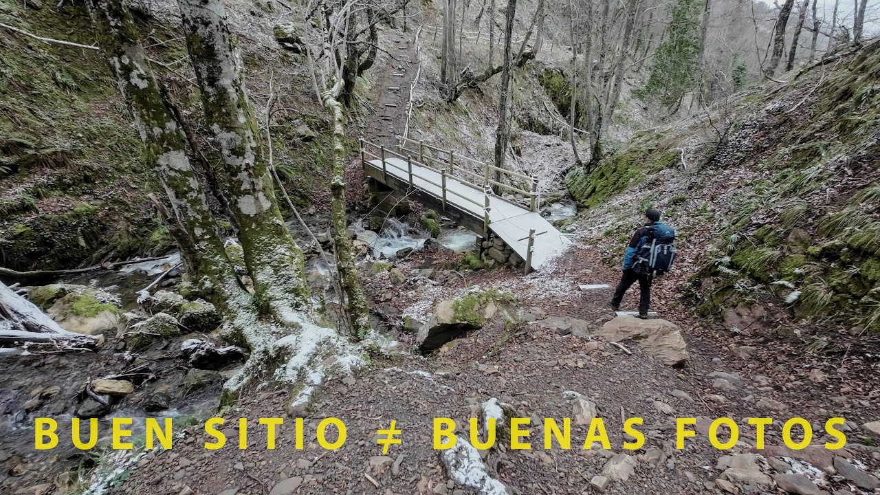Fotografía en el Hayedo de Montegrande: Una lección en humildad. #fotografía #landscapephotography
