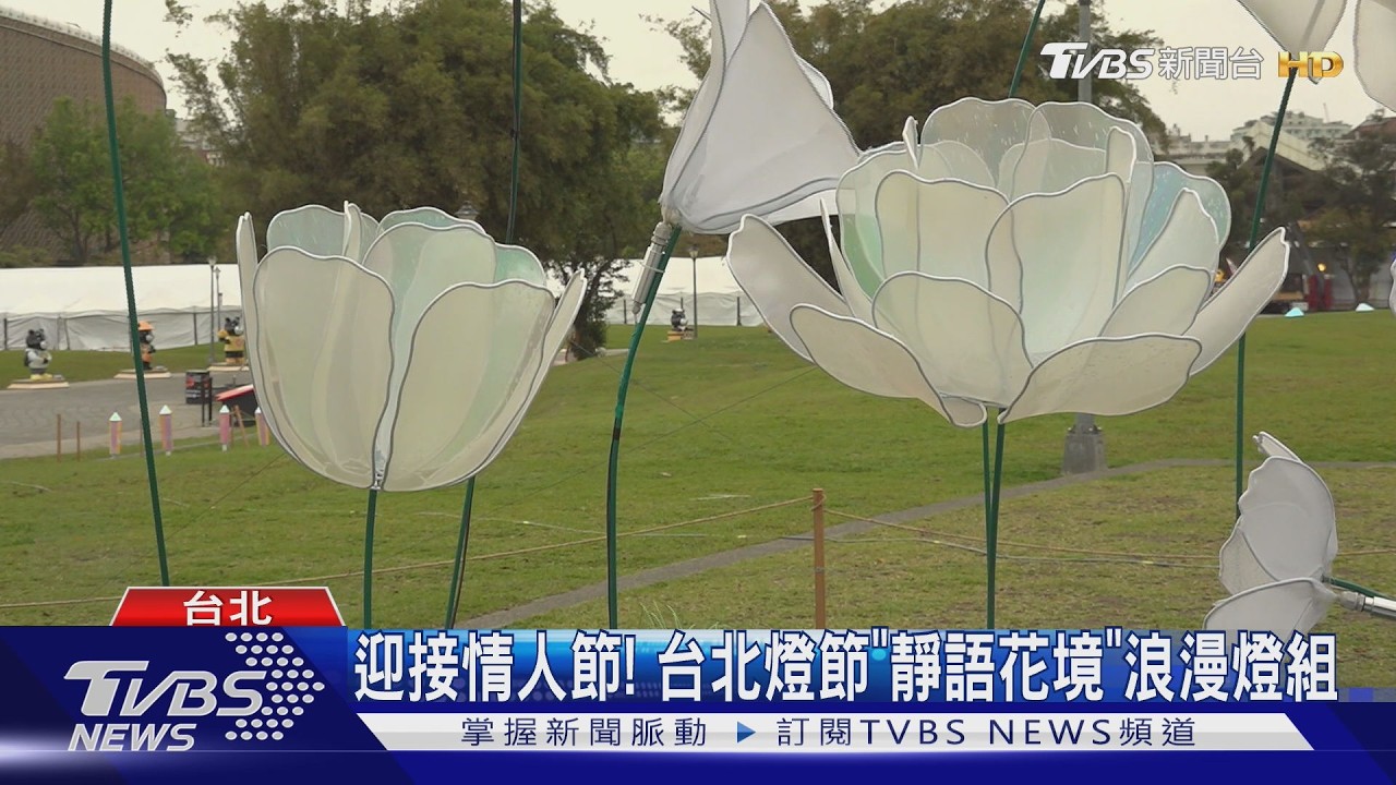 迎接情人節! 台北燈節「靜語花境」浪漫燈組｜TVBS新聞 @TVBSNEWS01