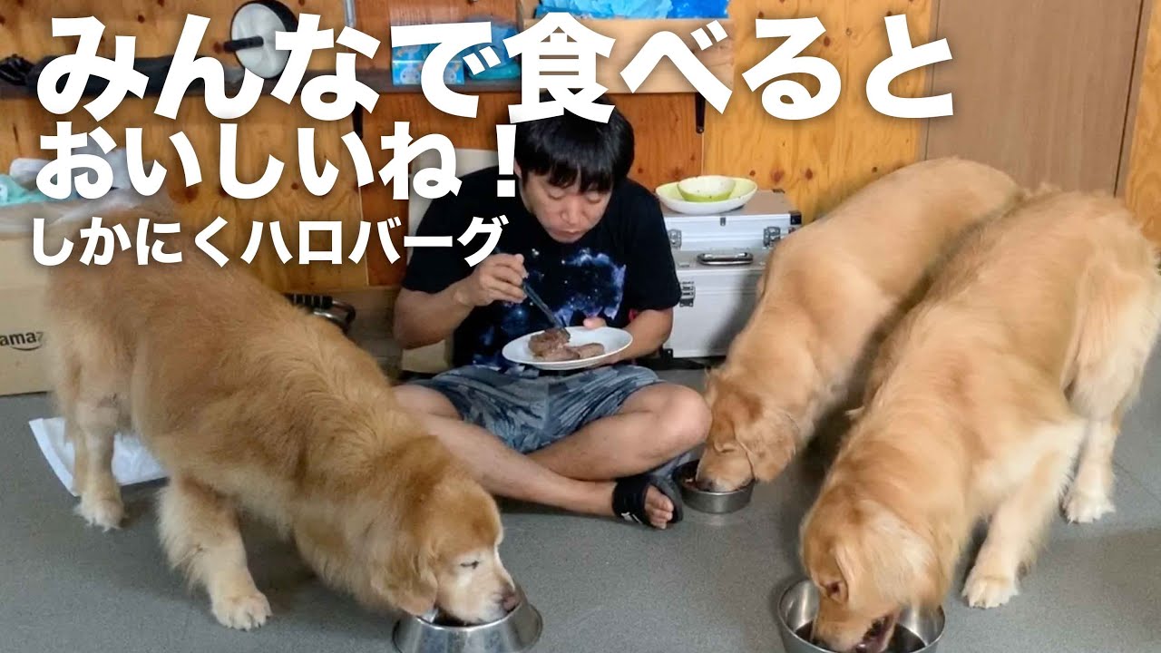 しかにくハンバーグを作ってハロバーグと命名してみる