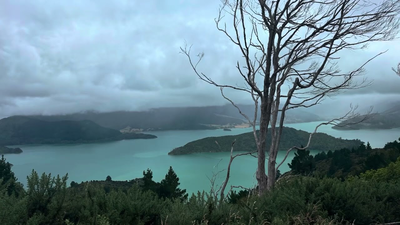Te Araroa Day 131 | Mistletoe Bay Eco Camp to Black Rock Camp