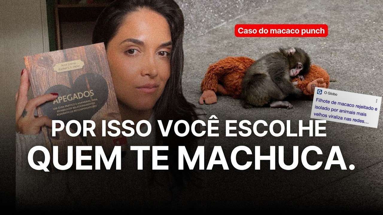 Por isso você escolhe quem te machuca — O experimento que explica suas relações. (MACACO PUNCH)