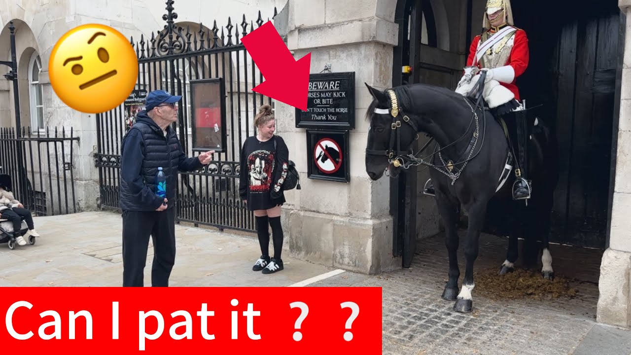 👮‍♂️ Senior Visitor Requests to Touch Horse, Guard Gives Respectful Reply