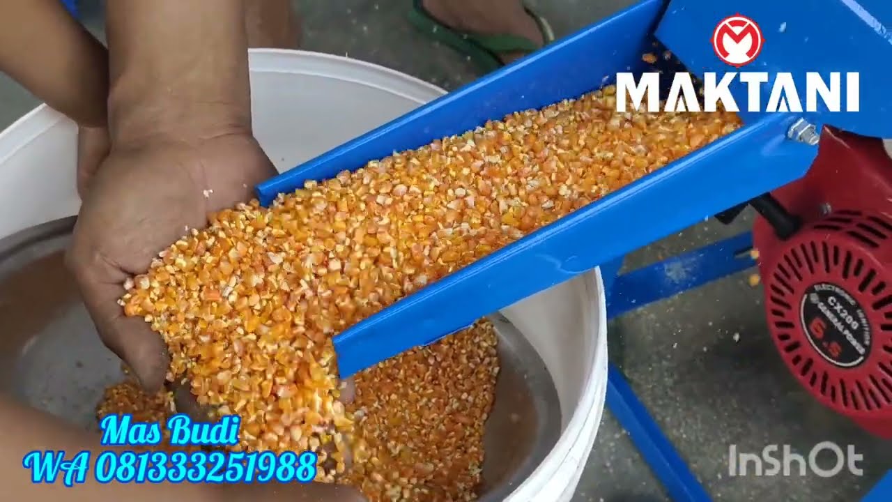 KEREN !!! mesin giling padi dan jagung MT350 dikirim Bali dan Madura