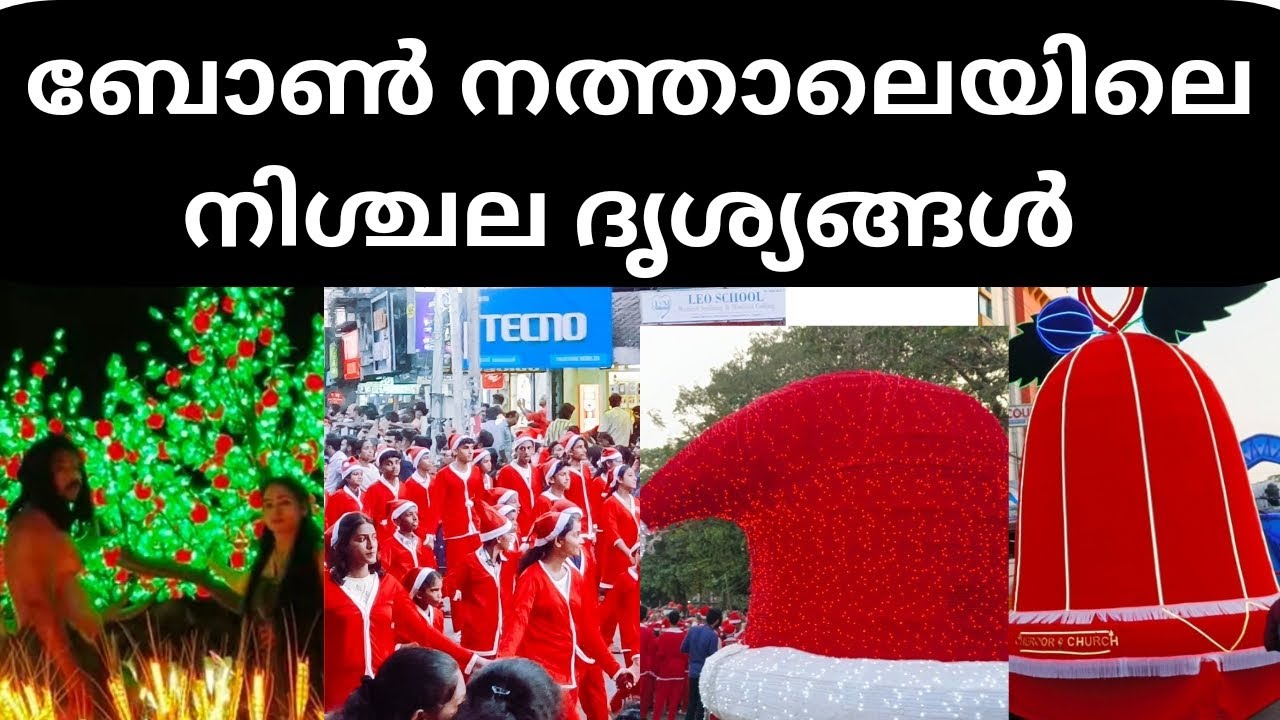 ബോൺ നത്താലെയിലെ മനോഹരമായ നിശ്ചല ദൃശ്യങ്ങൾ || boun nathale Thrissur 2024@isabellalisslinto3664