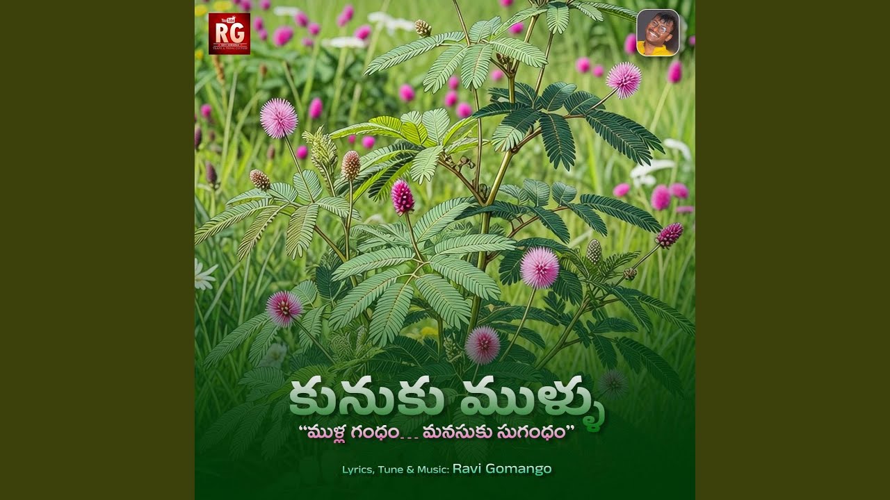 Kunuku Mullu (కునుకు ముళ్ళు)