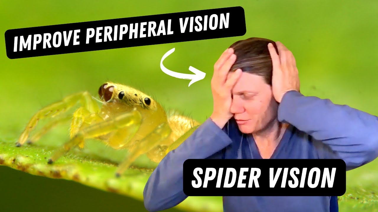 Peripheral Vision Exercise - Human vs. Spider Vision