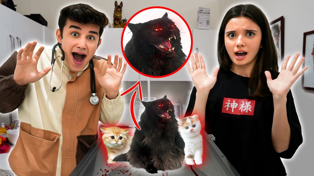 24 SAAT VETERİNER OLMAK ! (HAMİLE KEDİ!) @Sıla Dündar