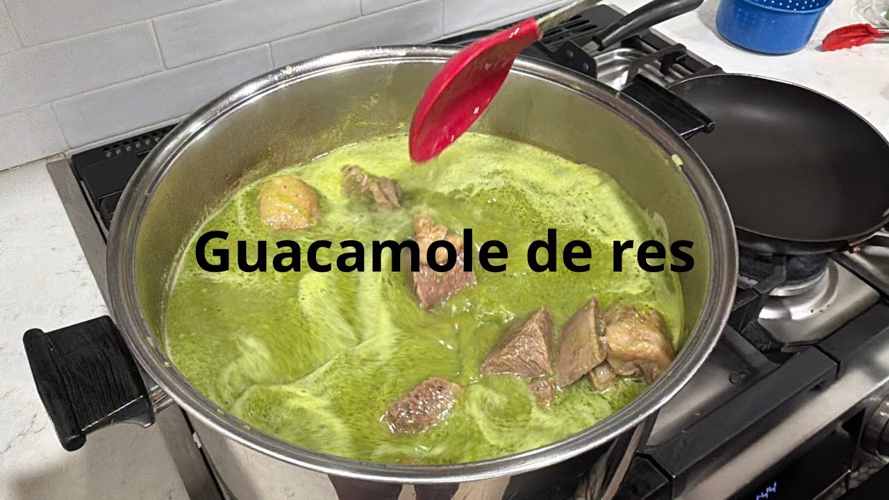 Delicioso guasmole de res 