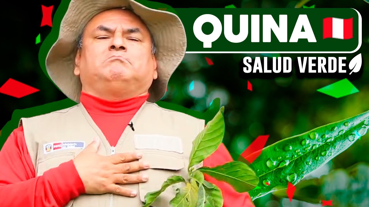 Conoce más sobre los beneficios de la quina | #SaludVerde 💚