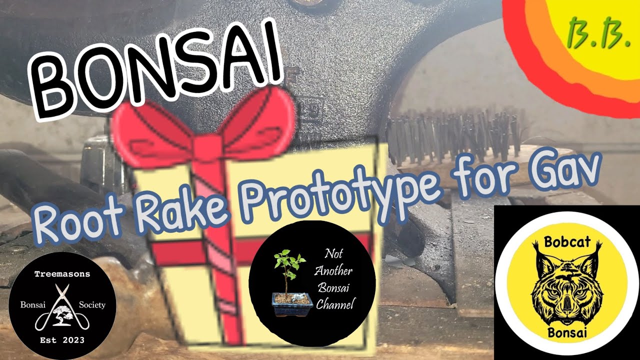 Bonsai Root Rake for Gav of @NotAnotherBonsaiChannel #bonsai #garden  #usa #new #treemasons #uk