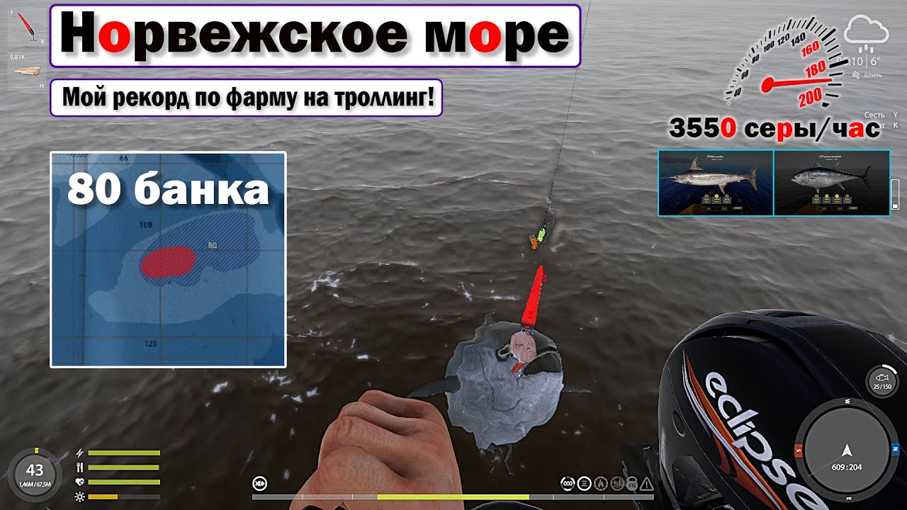 Бомбовый фарм за час! • Меч-рыба • Тунец голубой • Русская Рыбалка 4 • Норвежское Море