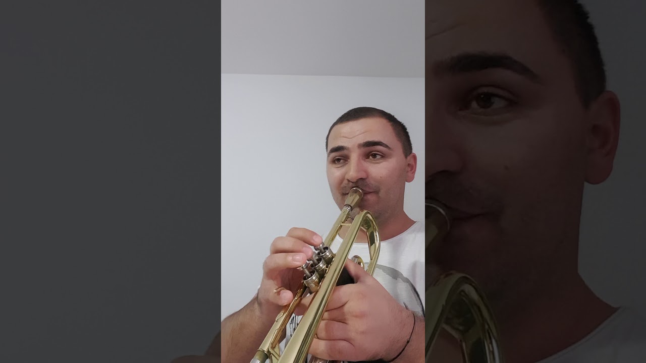 Tutorial Sârba Tineretului. Ideal pentru începători. Trumpet