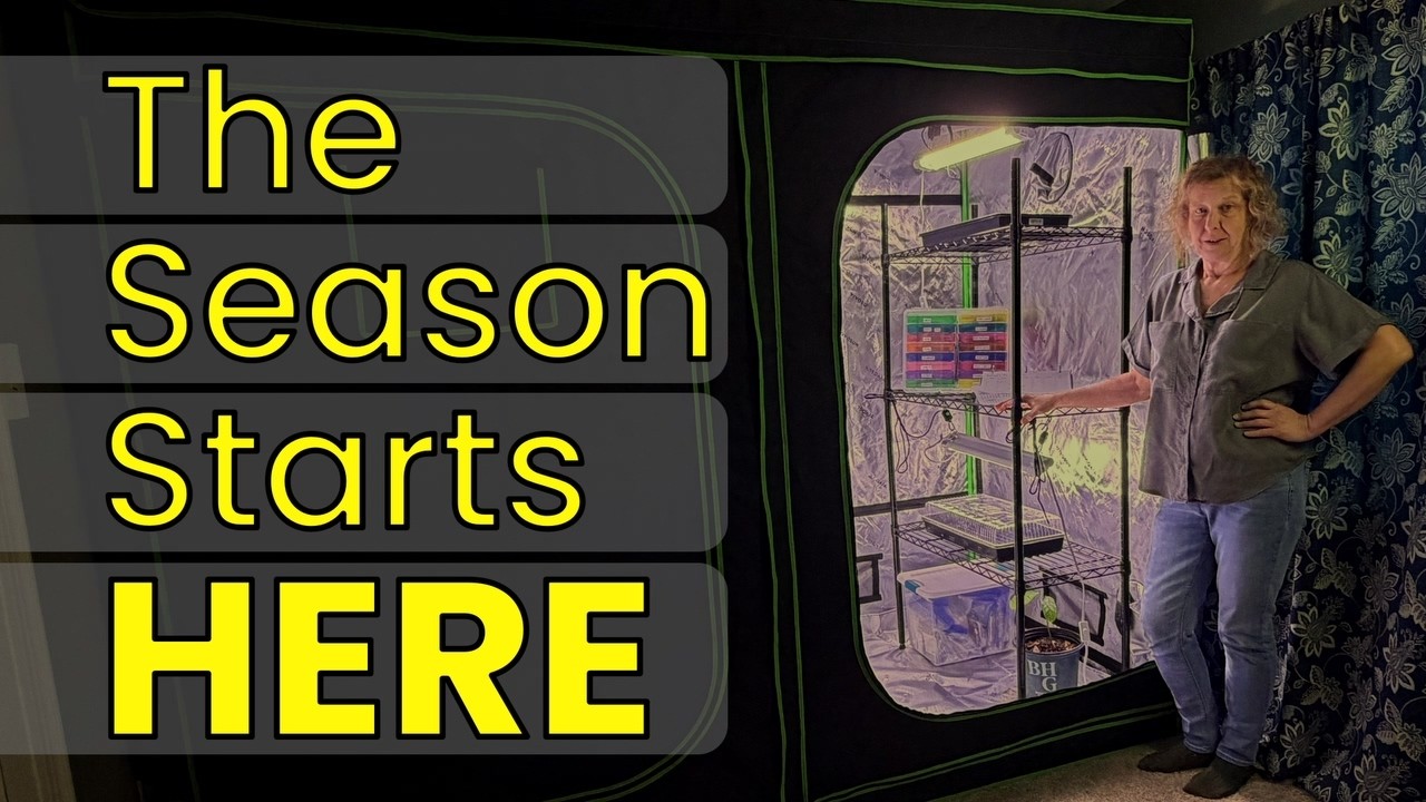 Building This Year&rsquo;s Garden: Grow Tent Setup & Seed Selection