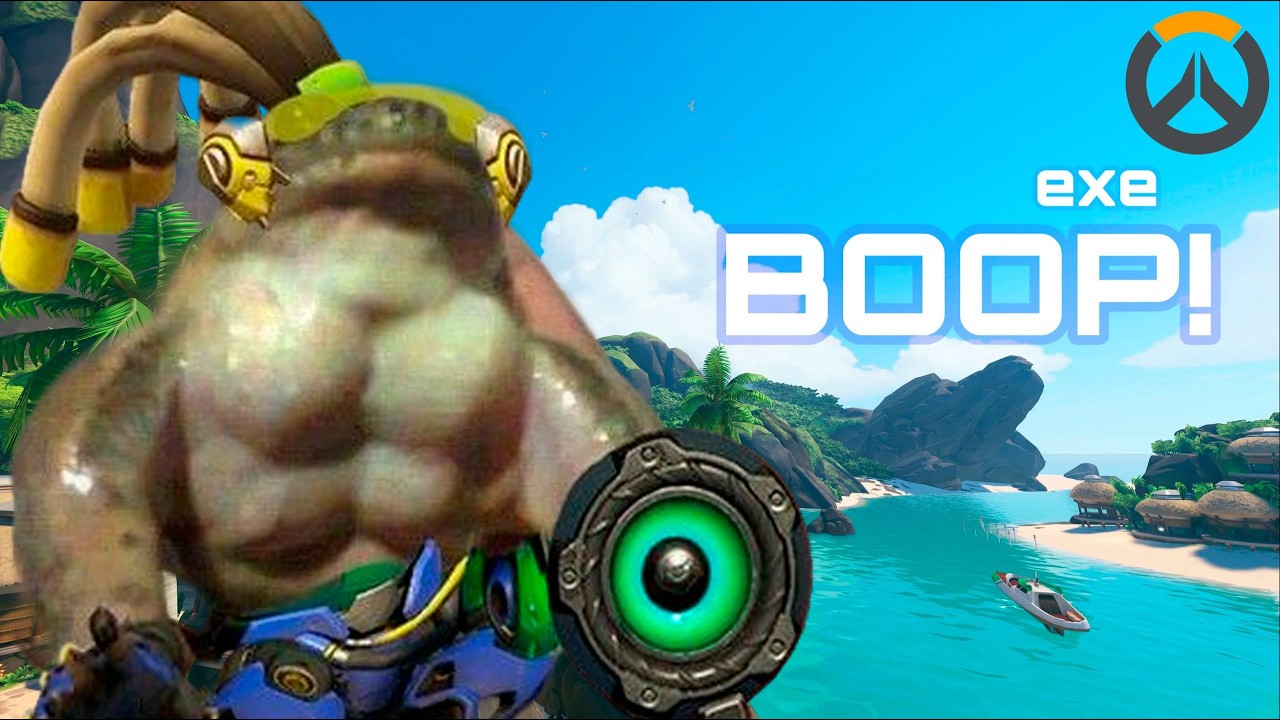 OVERWATCH.exe - Boop!