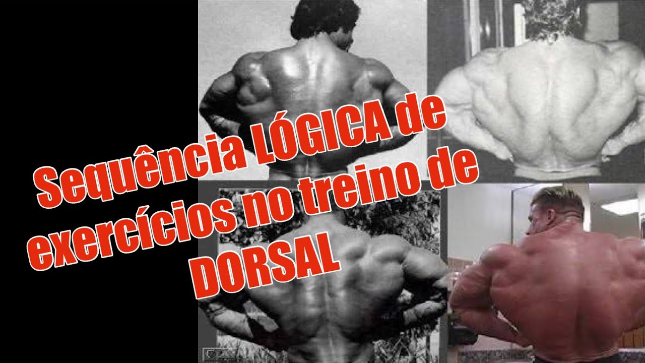 Sequência LÓGICA de exercícios de treino para Dorsal