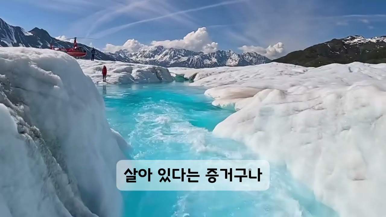 한강의 얼음 현상:  떠있는 물체들은 팬콕 아이스(Pancake Ice) 또는 **슬러시 아이스(Slush Ice)**라고 불리는 자연현상입니다.