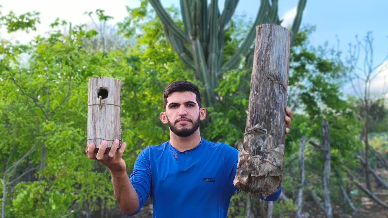 Fiz uma casinha de passarinho com um tronco de agave velho