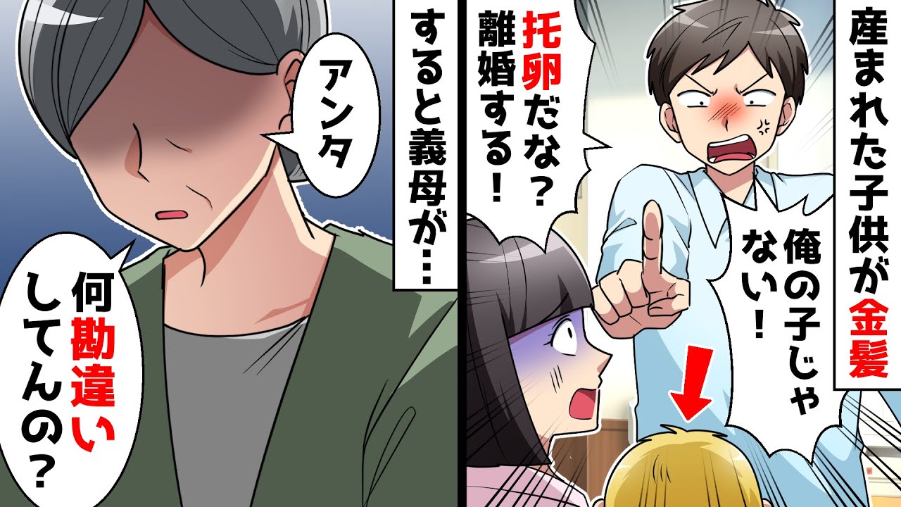 【スカッと】産まれた子供がなぜか金髪「托卵だな！？離婚して慰謝料請求する！」すると義母が…【スカッとする話】