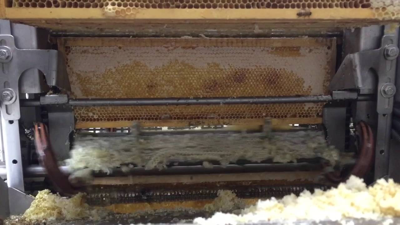 Extraction-facility
