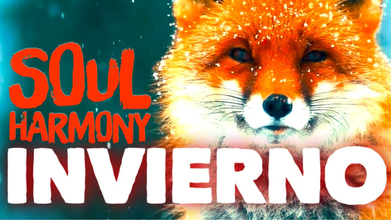 Soul Harmony 💚 Invierno  🌿 [ 528 Hz Music Therapy ] 🌿 Peace and Love