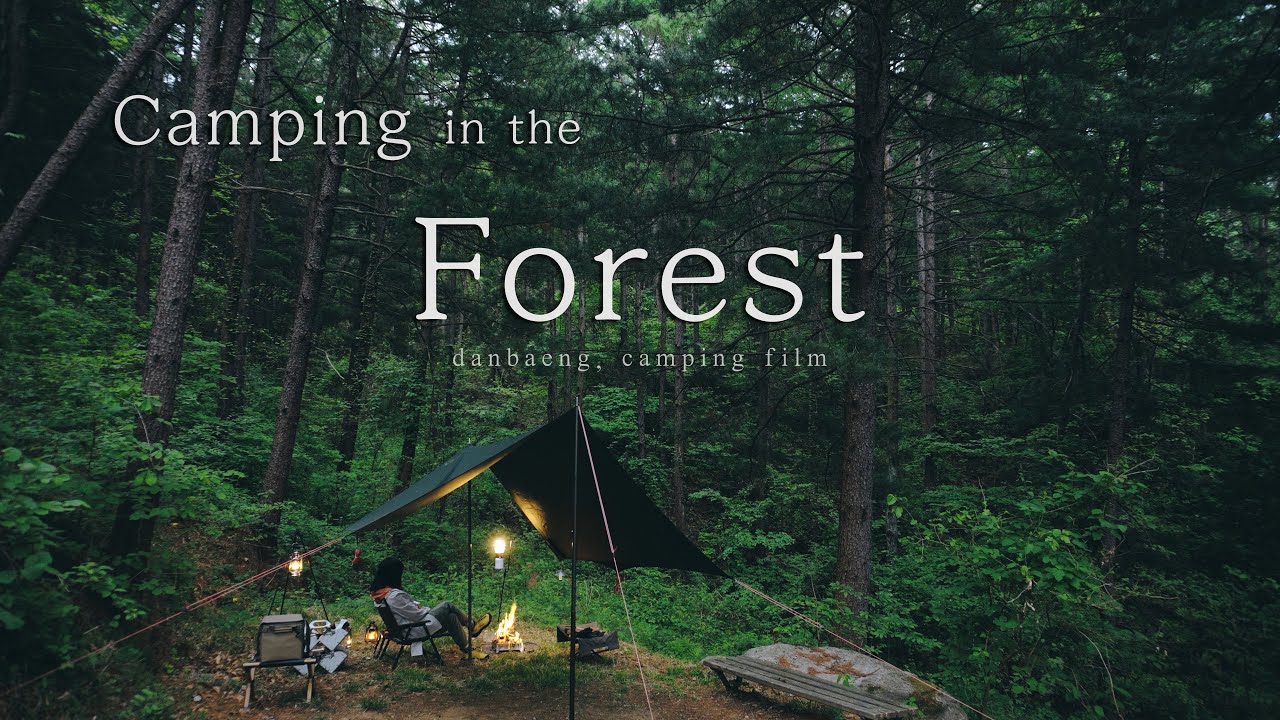[4K] Camping in the Forest | 숲속캠핑 | 자연ASMR | 백색소음 | 솔로캠핑 | 엘찰텐