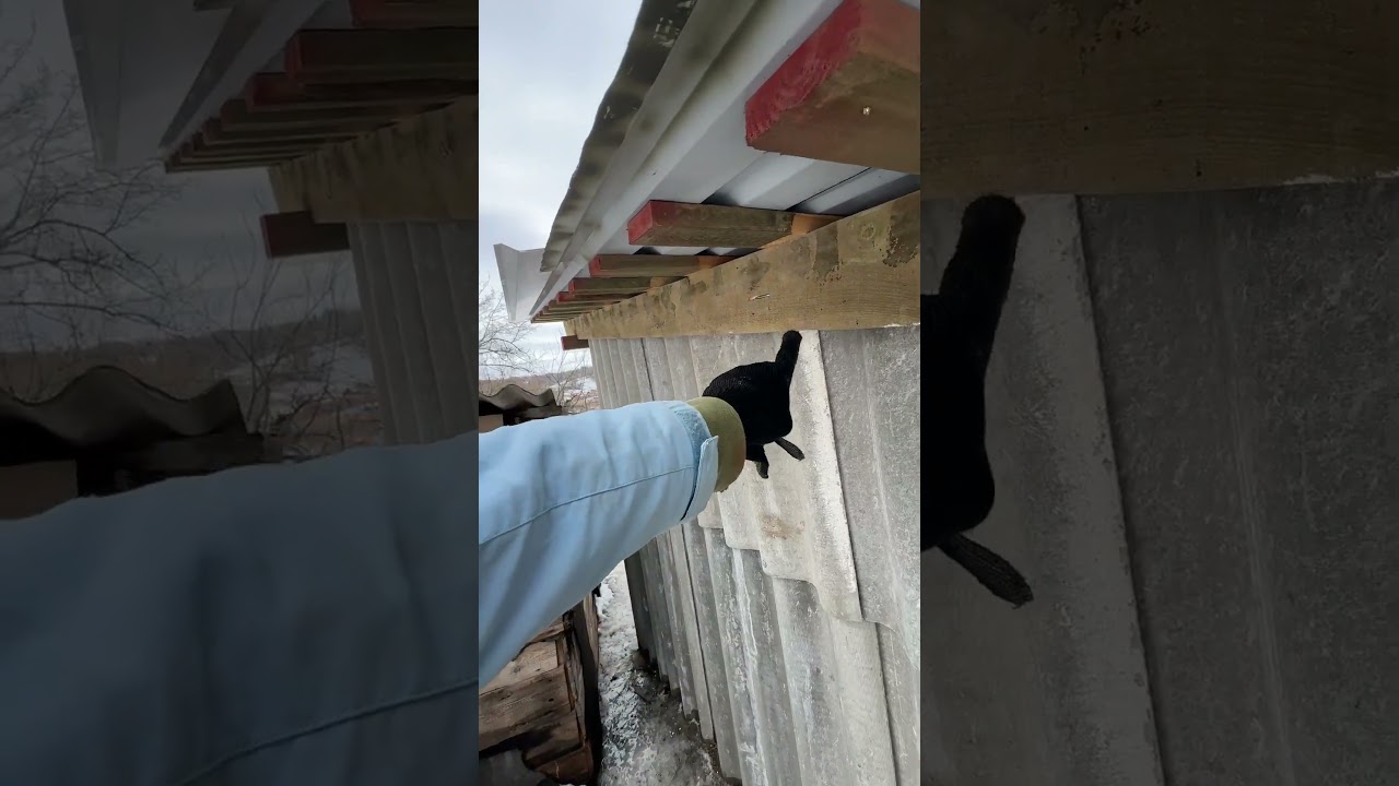 Сделал сарай как вы сказали