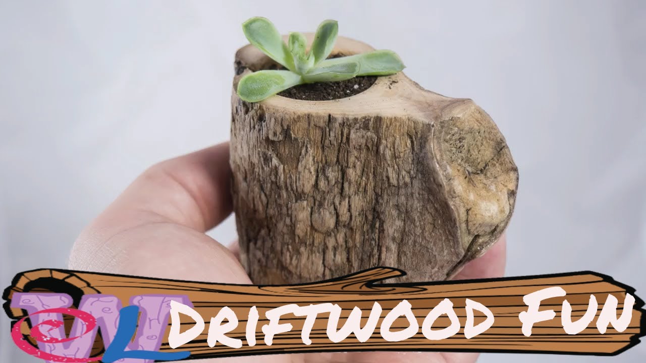 Quick Driftwood Projects