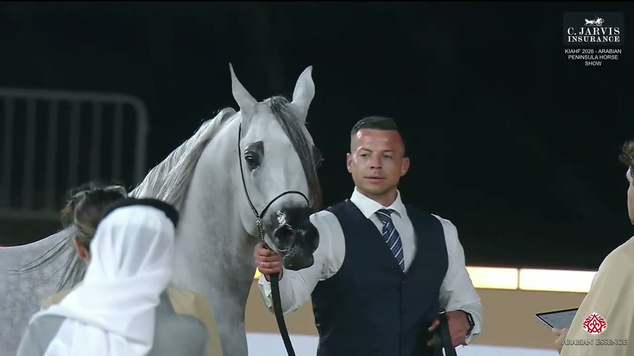 KIAHF 2026   Arabian Peninsula Horse Show   Class   8A