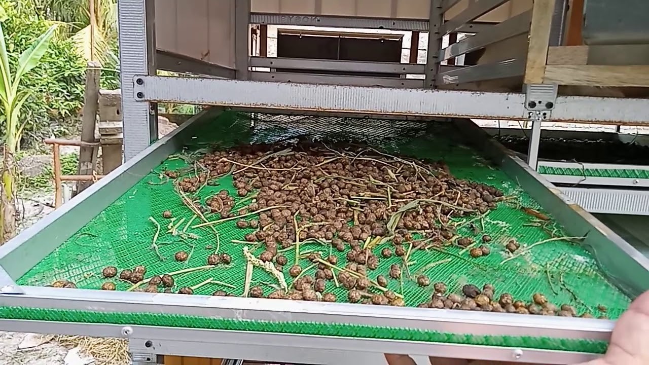 Kandang kelinci sistem terkoleksi (Bongkar Pasang)