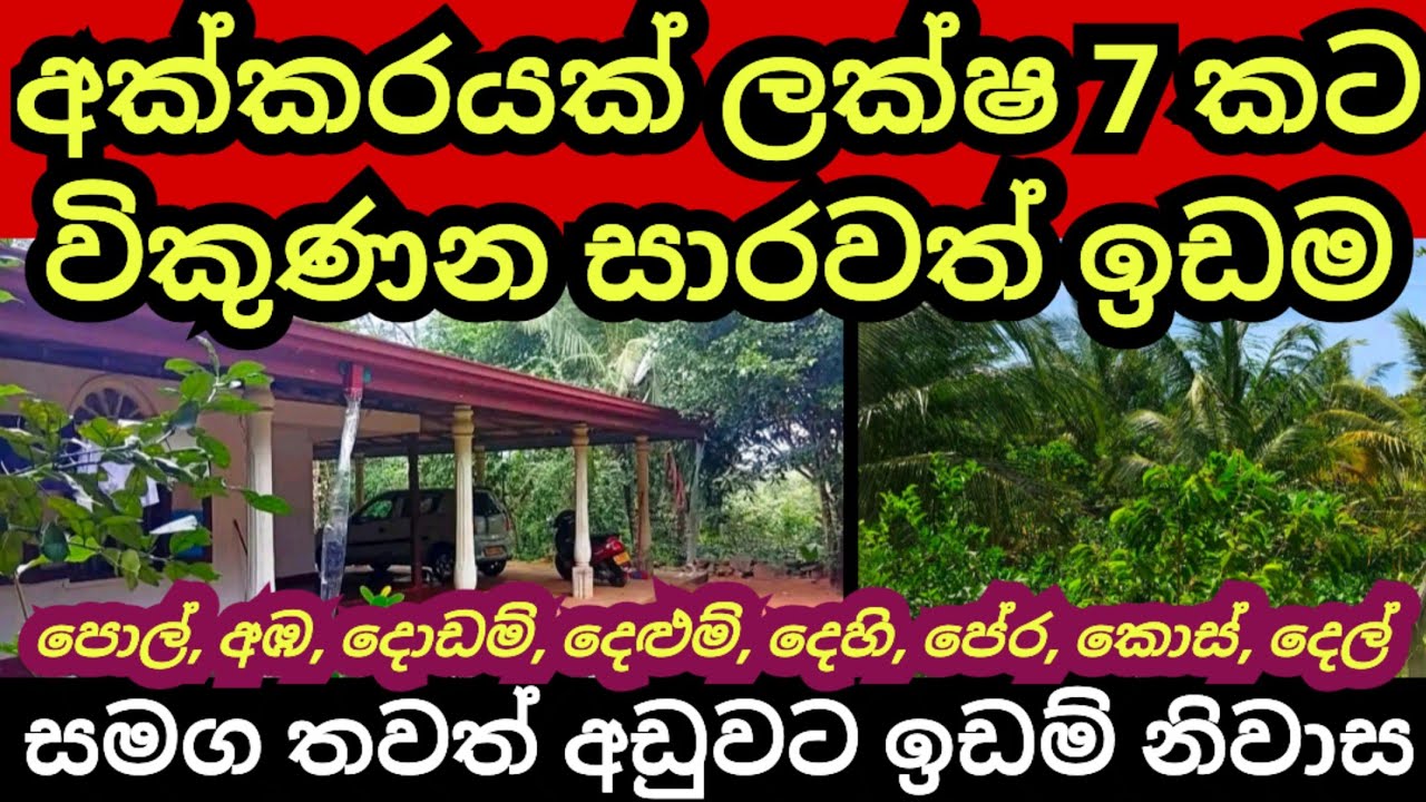අක්කරයක් ලක්ෂ 7 කට විකුණන සරුසාර ඉඩම | තවත් ඉඩම් නිවාස කීපයක් | Land for sale | Aduwata idam | Lands