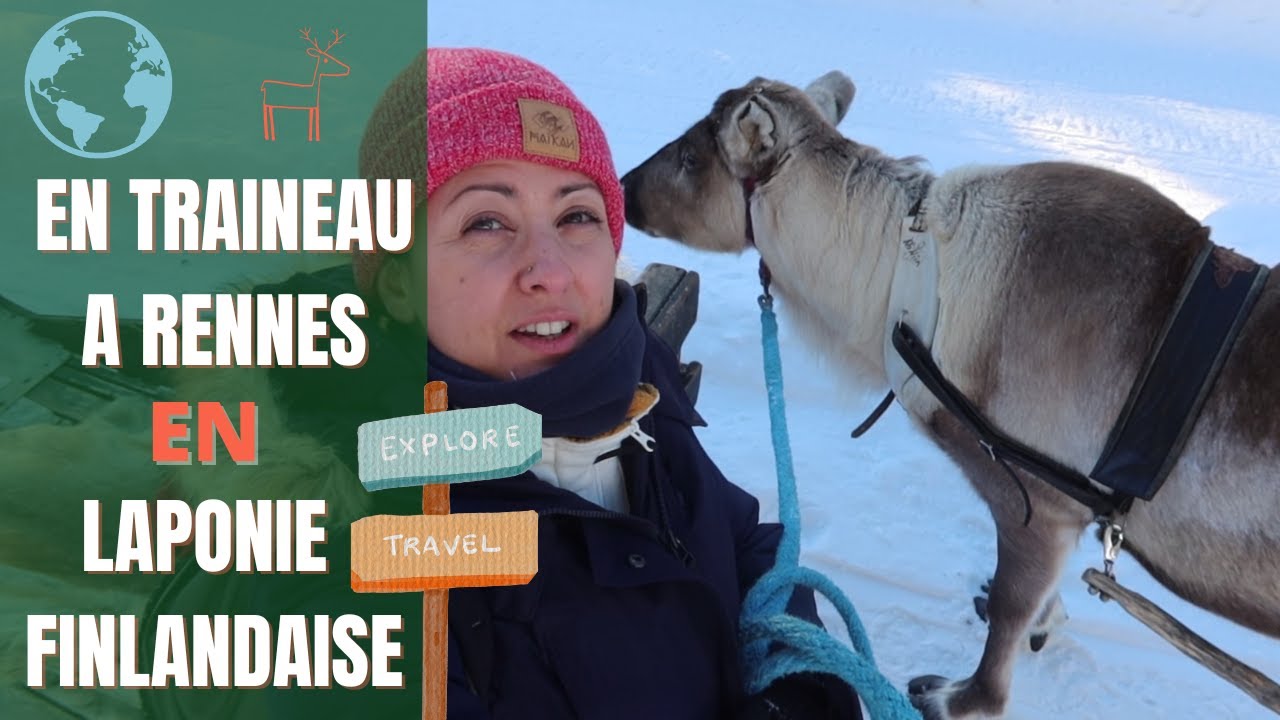 Une journée en traîneau à rennes en Laponie finlandaise 🦌