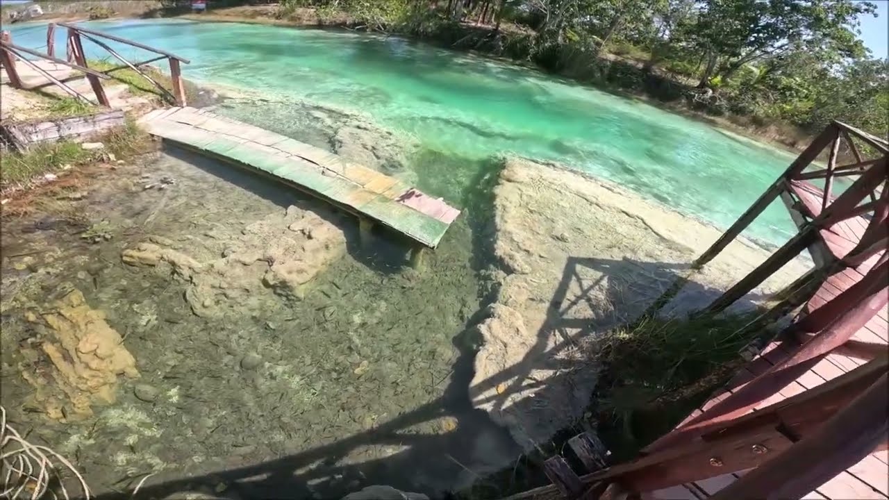 Bacalar