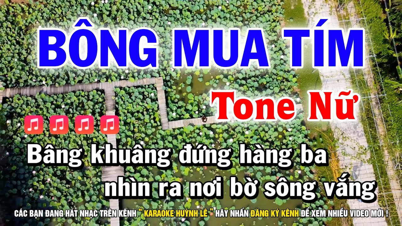 Karaoke Bông Mua Tím - Tone Nữ - Beat Hay Nhạc Sống Dễ Hát