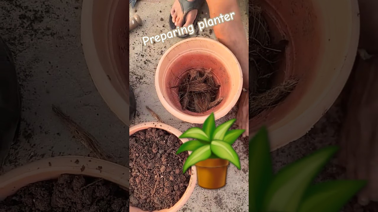 how to fill planters! mix soil, cocopeat & vermicompost 