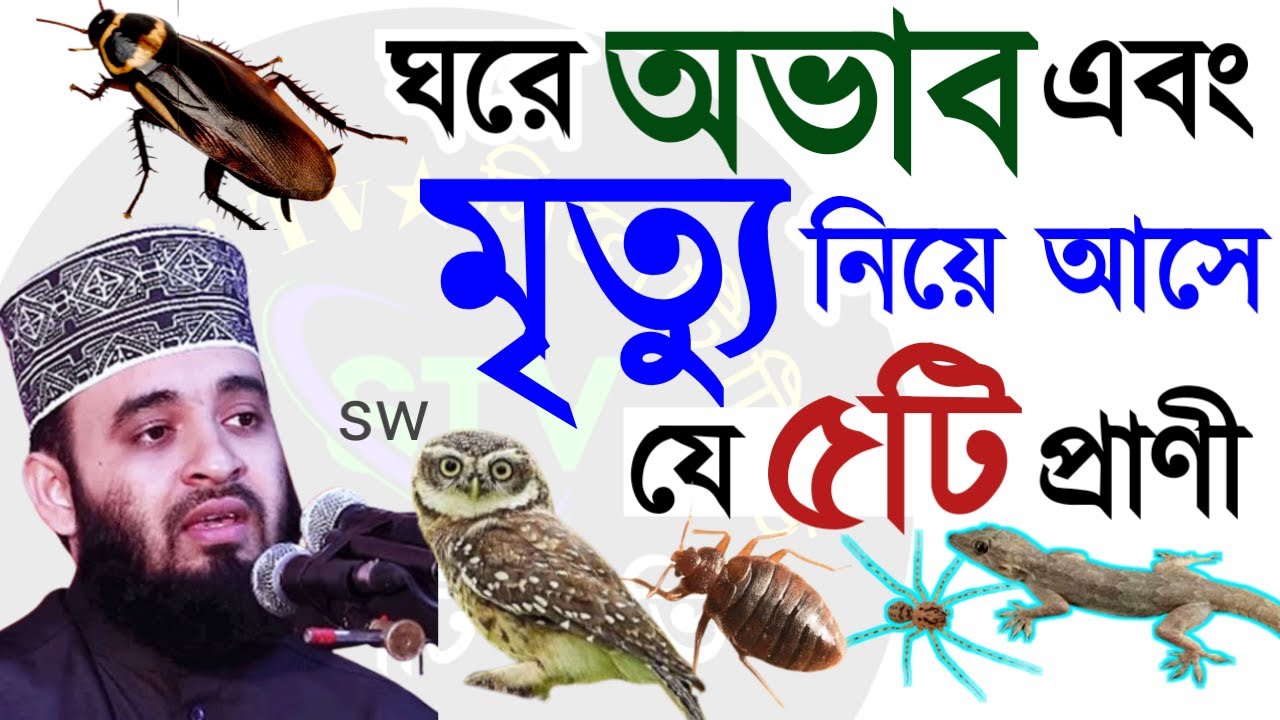 ঘরে অভাব এবং মৃ9ত্যু নিয়ে আসে যে ৫ টি প্রাণি।🔴মিজানুর রহমান আজহারী=Jan 2420267:25 AM
