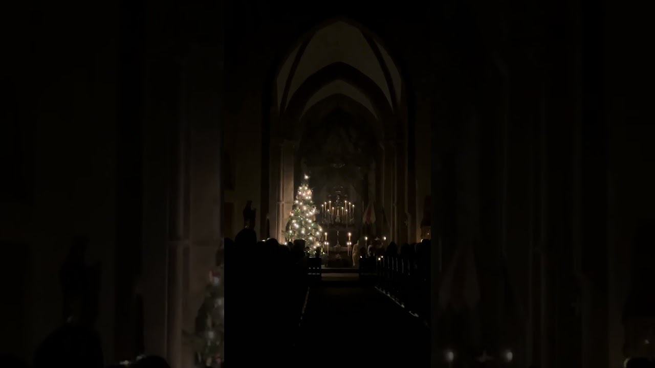 Stille Nacht in der Stiftskirche St Peter und Alexander Aschaffenburg 