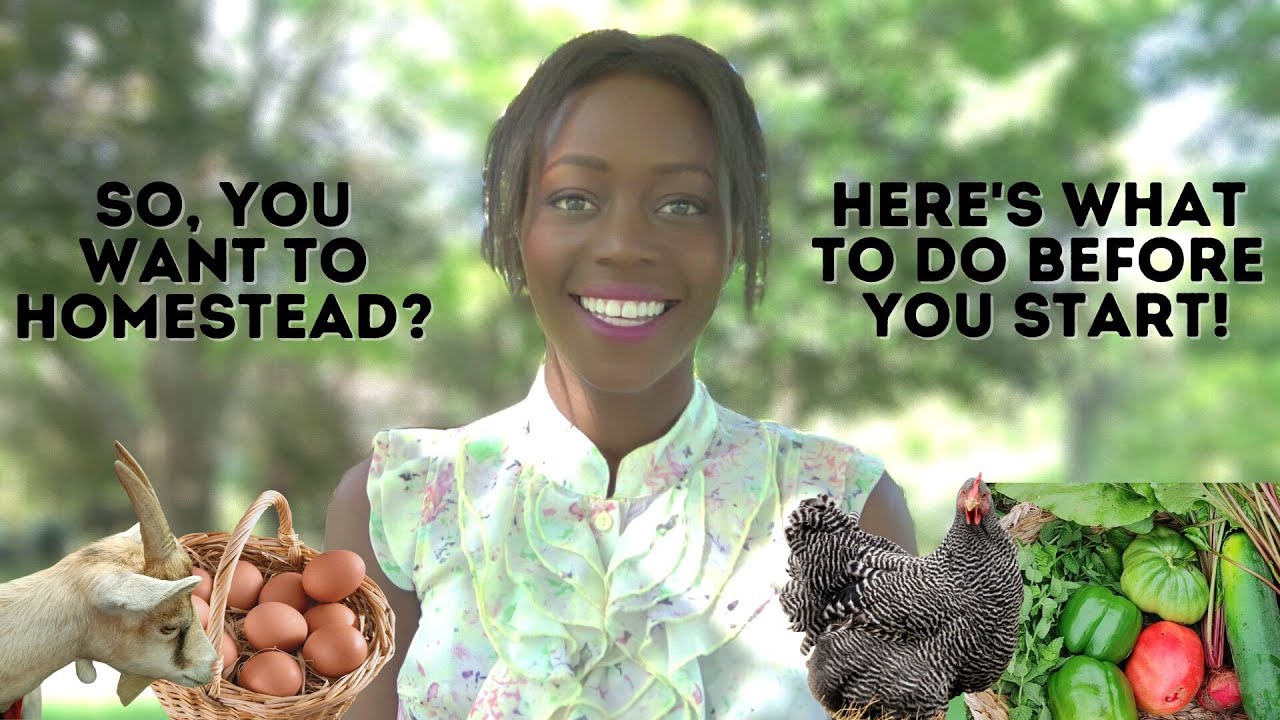 HOMESTEADING 101 | WHAT NO ONE TELLS YOU! | WHERE TO START | Watch this FIRST!