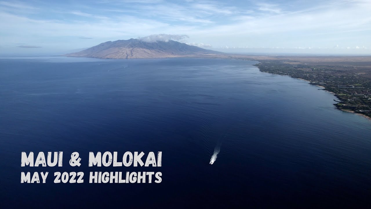 Diving Maui in 2022 with Lahaina Divers (4K Underwater Cinematic)