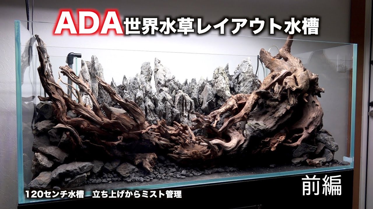 ADA世界水草レイアウトコンテスト２０２１　上級者の中の下っ端ぐらいの人の120センチ水槽立ち上げからミスト管理　前編