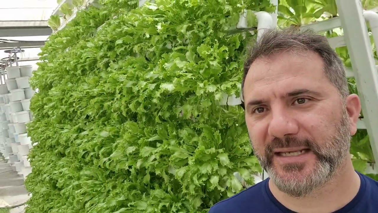 ACQUAPONICA # SICILPONICA # BIORGANISE # VERTICAL FARM # URBAN FARM